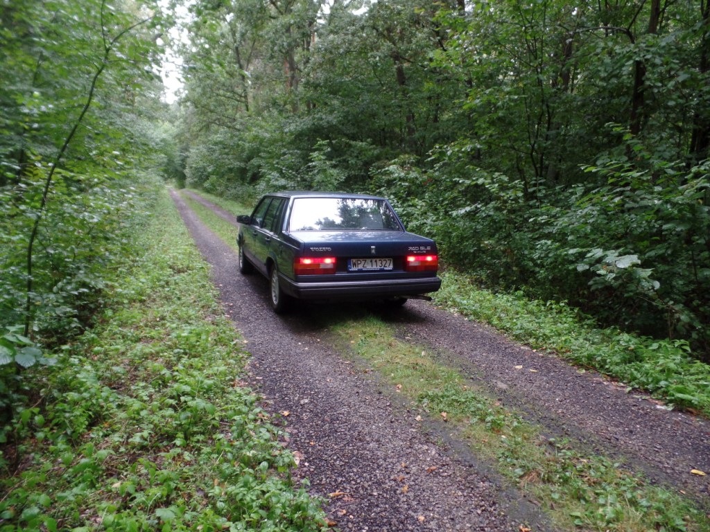 SAM_5465.JPG
