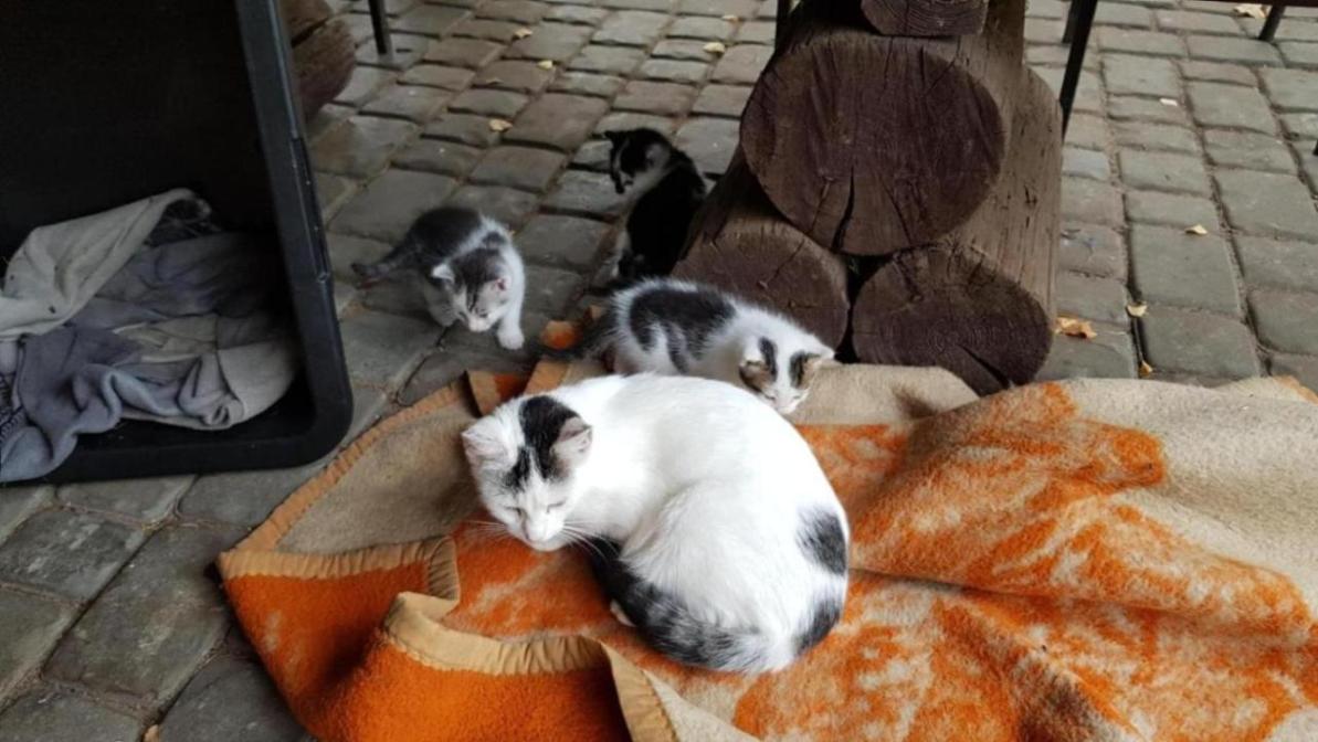 Zjazd jak zwykle miał charakter rodzinny, więc nie mogło zabraknąć matki z małymi dziećmi ...