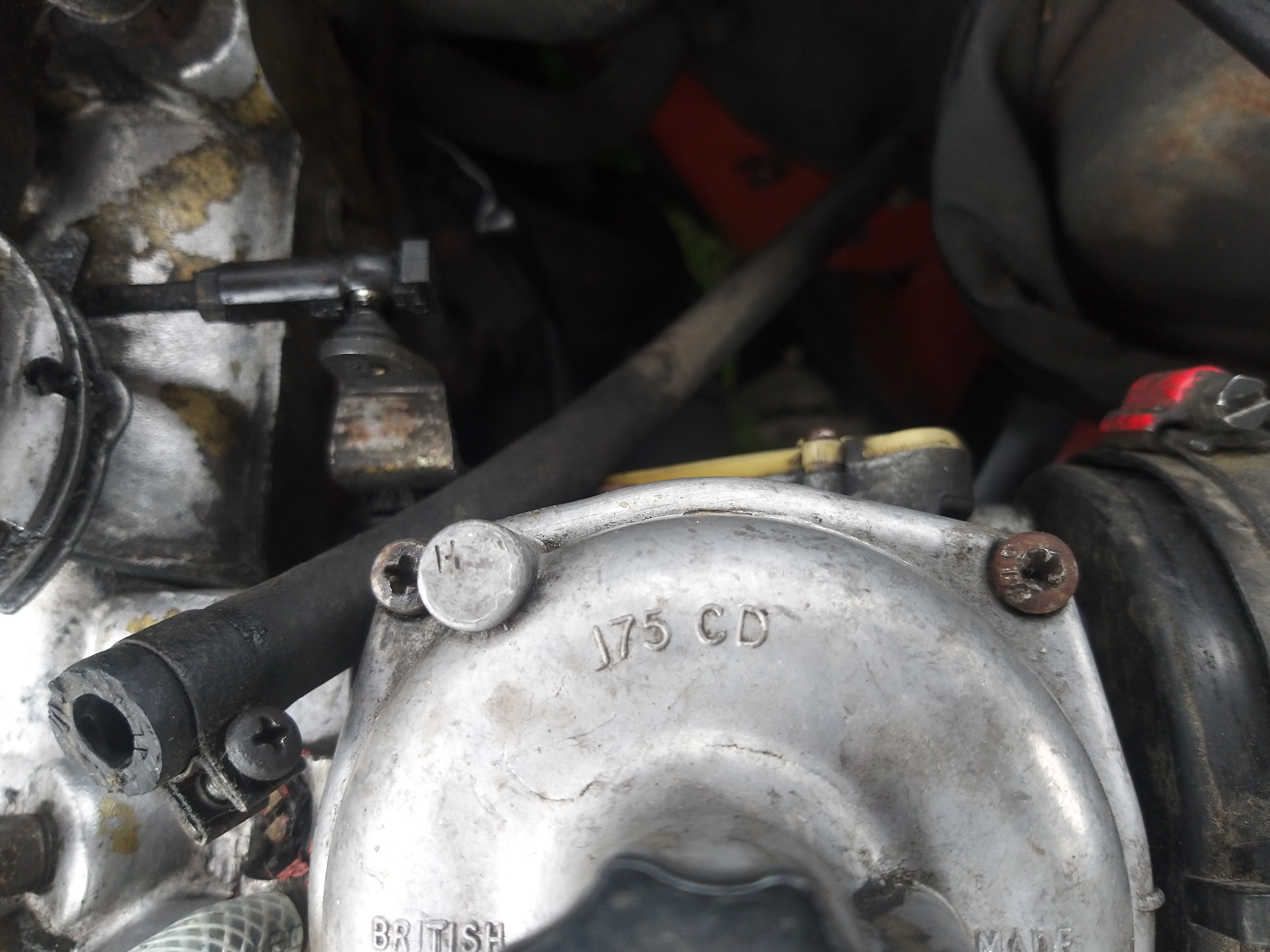 20190427_160055.jpg