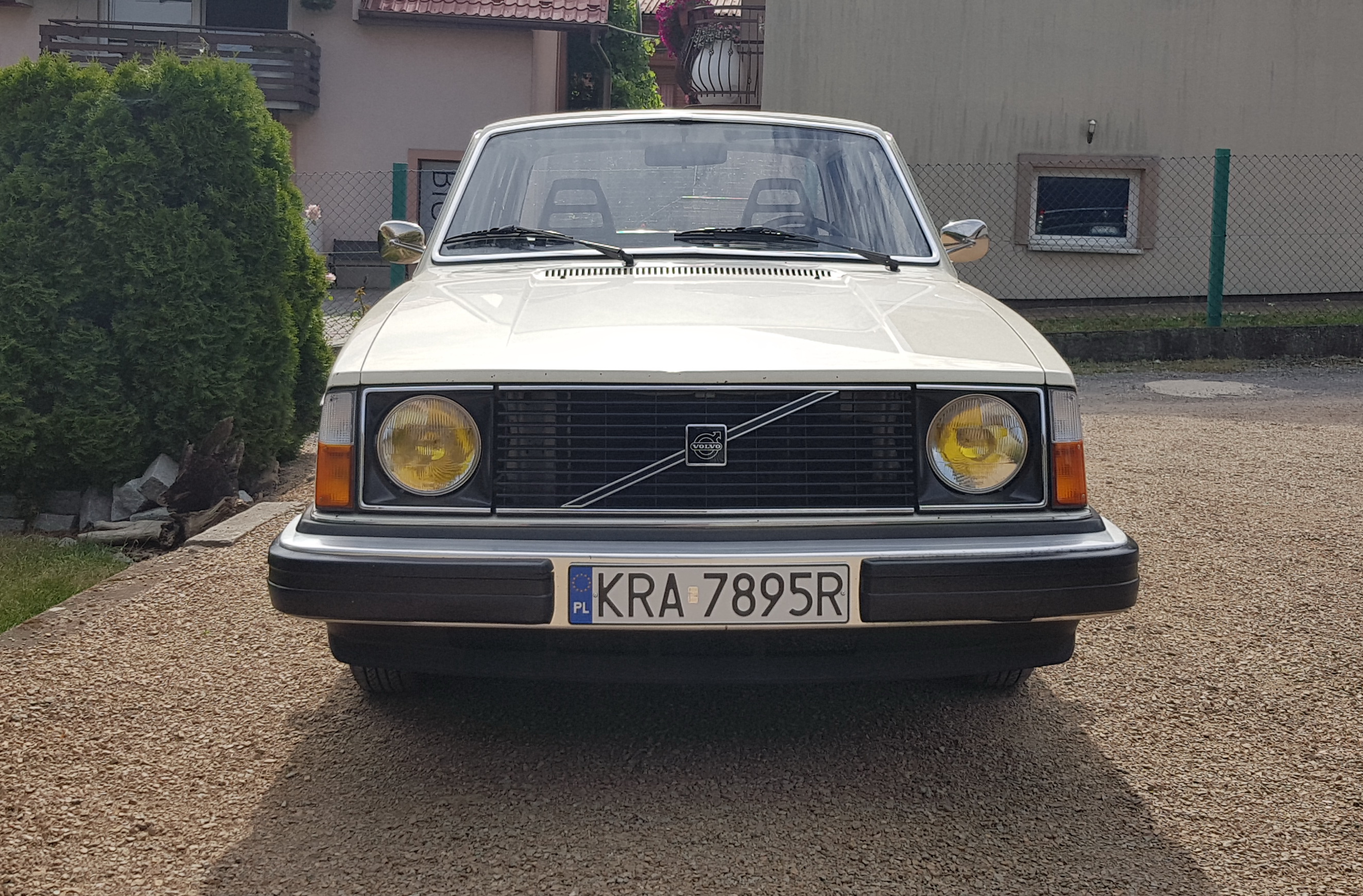 20190705_091341.jpg