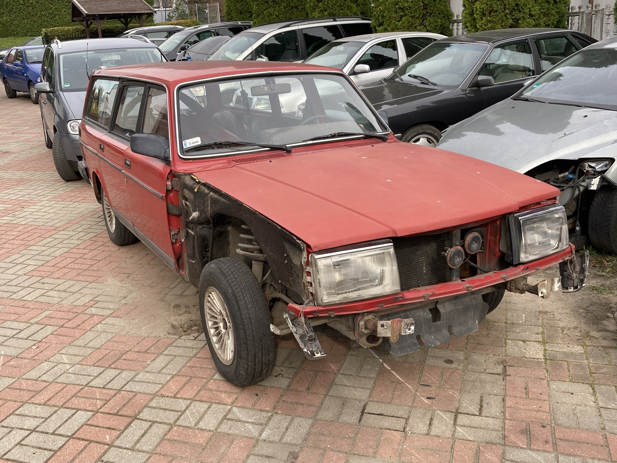 IMG_2303.JPEG