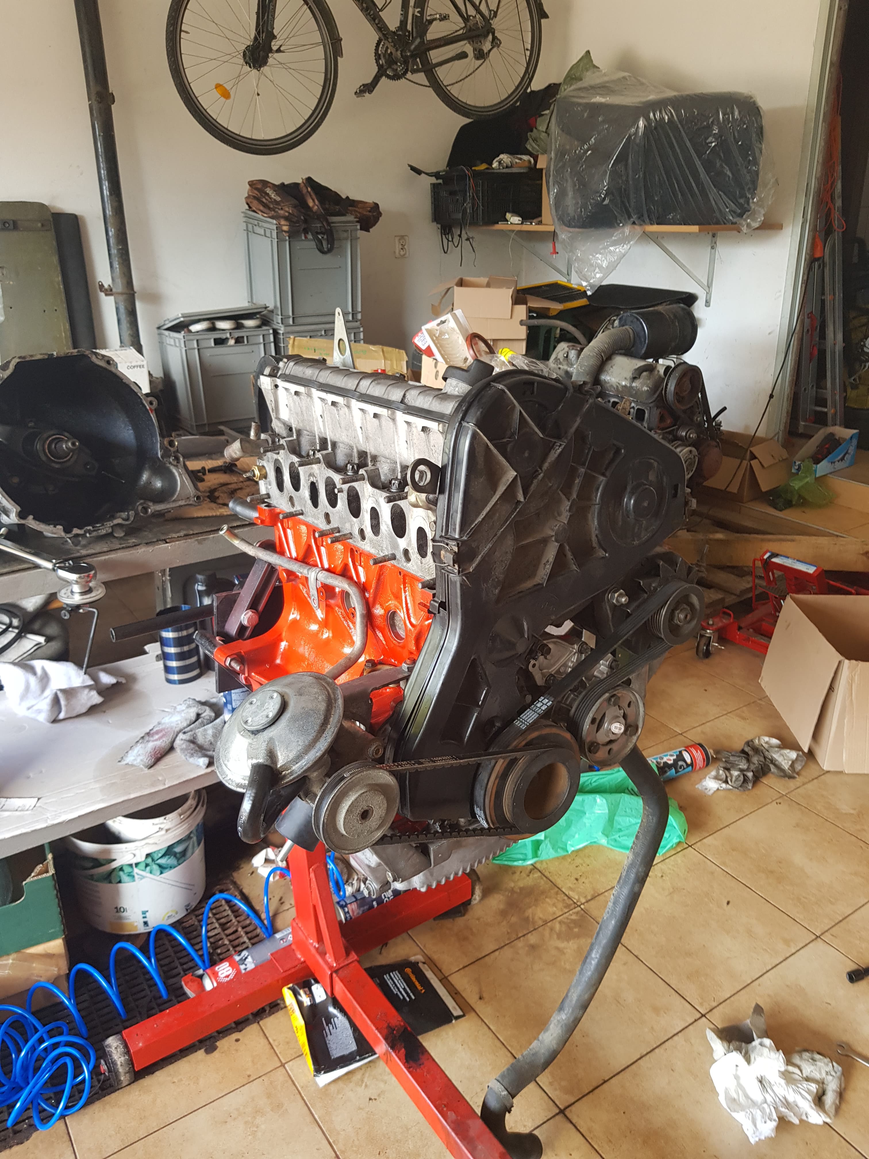 308609800_403399981957538_217375261884065916_n (1).jpg