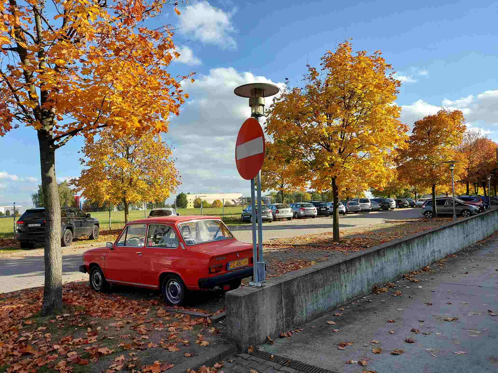 20221012_151840 (Kopiowanie).jpg