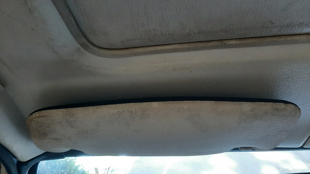 20230621_180859.jpg