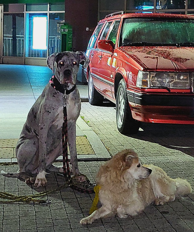 20230728_234053_resized (1).jpg