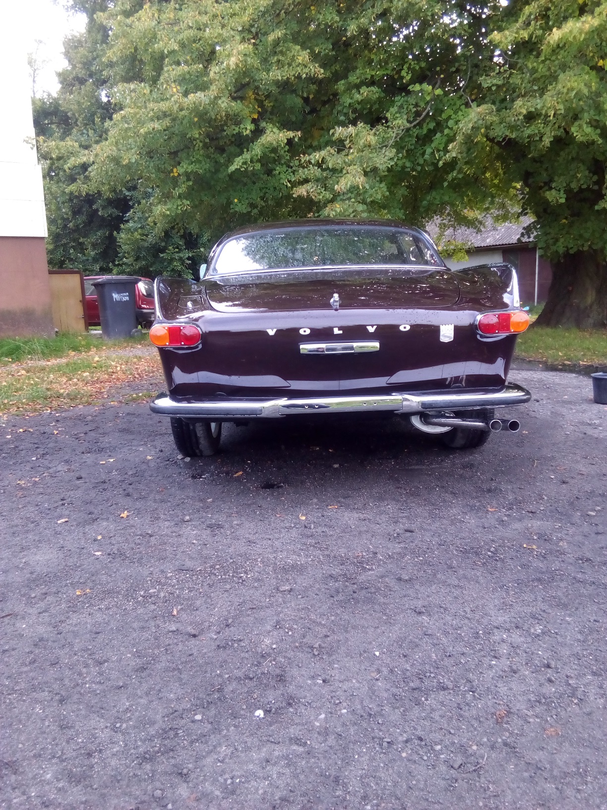 IMG_20200913_175925.jpg